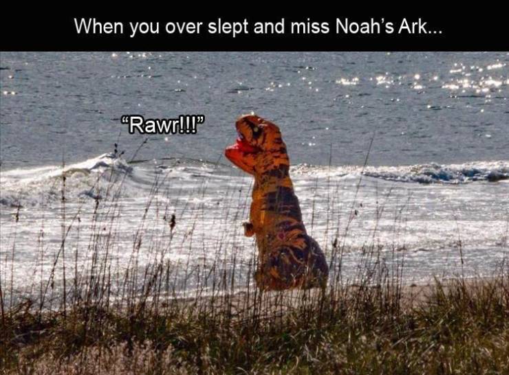 funny picdump 52 pics 1.html - 52 HD Photos | Premium Gallery 2019