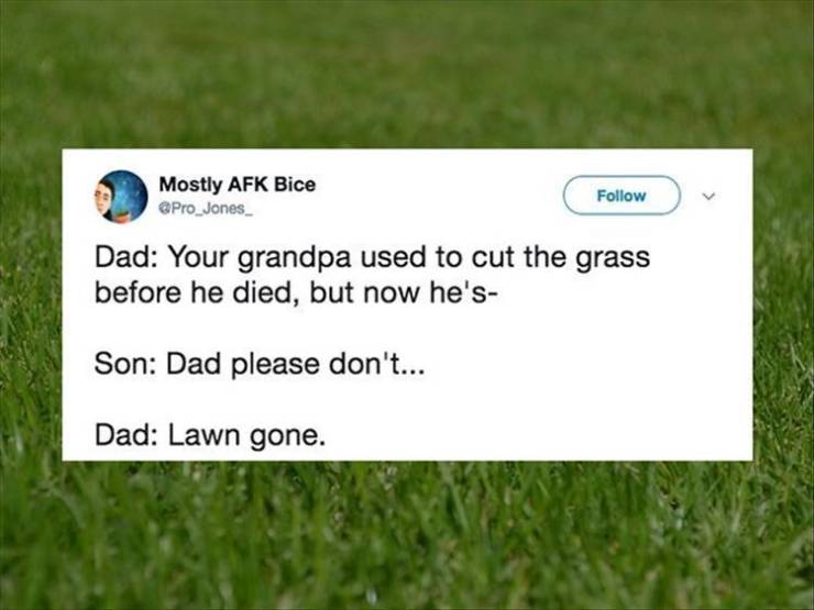 funny picdump 52 pics 1.html - 52 HD Photos | Premium Gallery 2019
