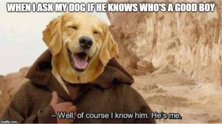 Great “Star Wars” Memes These Are