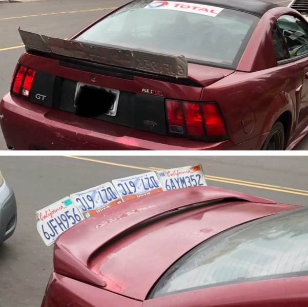 daily picdump 96 pics 8.html - 96 HD Photos | Premium Gallery 2019