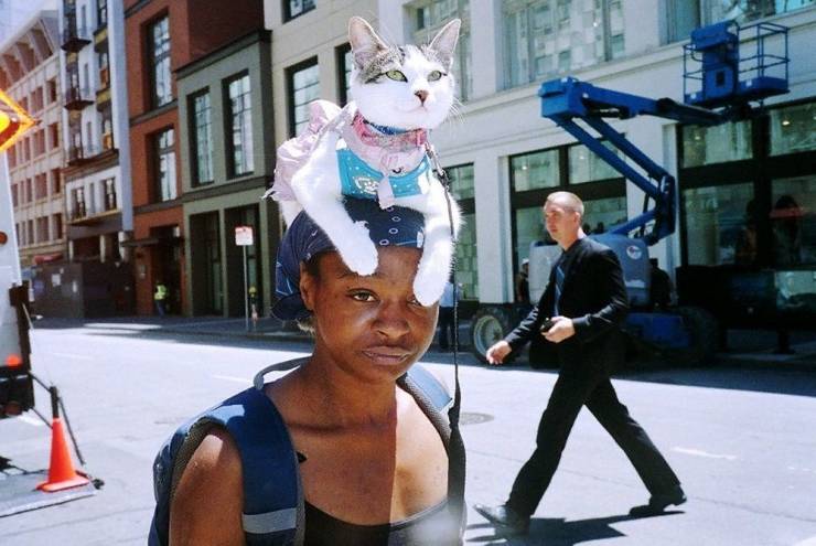 daily picdump 96 pics 8.html - 96 HD Photos | Premium Gallery 2019
