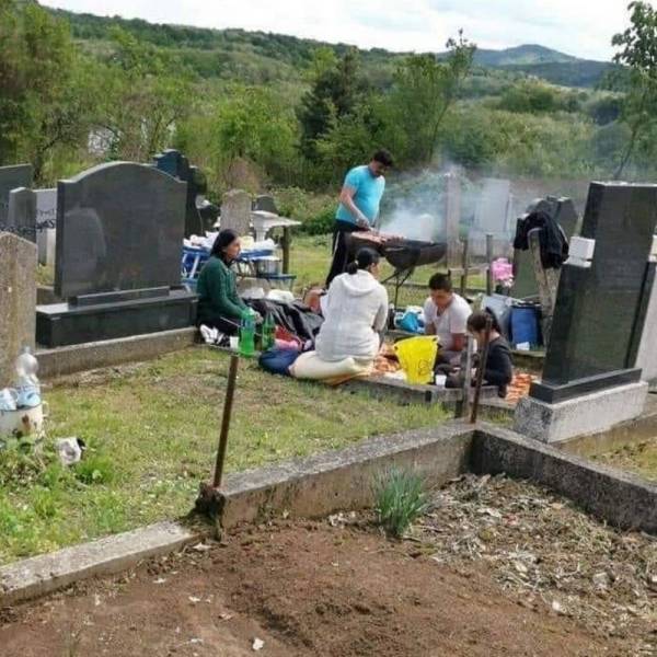 daily picdump 96 pics 8.html - 96 HD Photos | Premium Gallery 2019