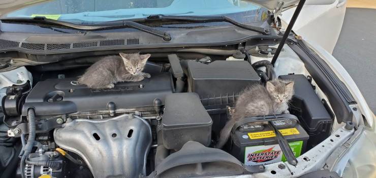 daily picdump 96 pics 8.html - 96 HD Photos | Premium Gallery 2019