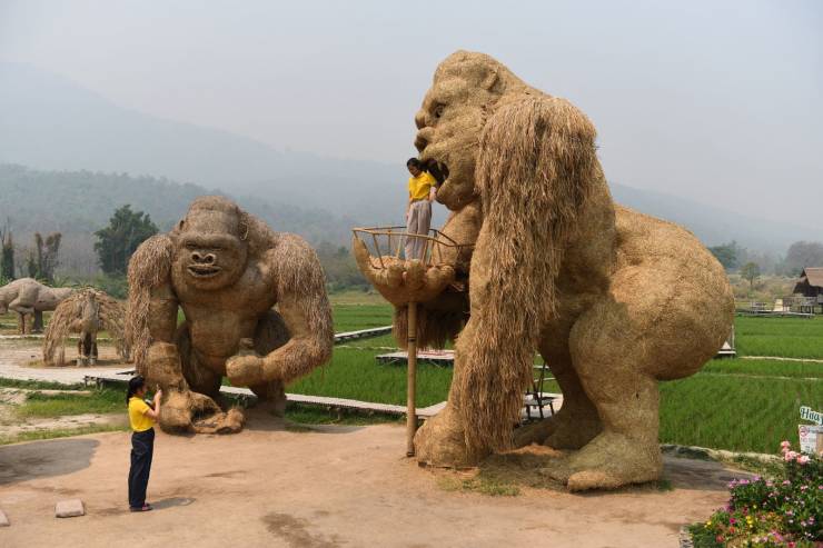 daily picdump 96 pics 8.html - 96 HD Photos | Premium Gallery 2019