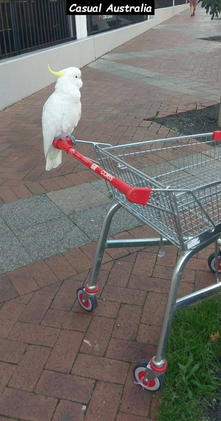 Daily Picdump