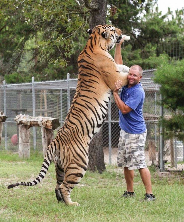 Daily Picdump
