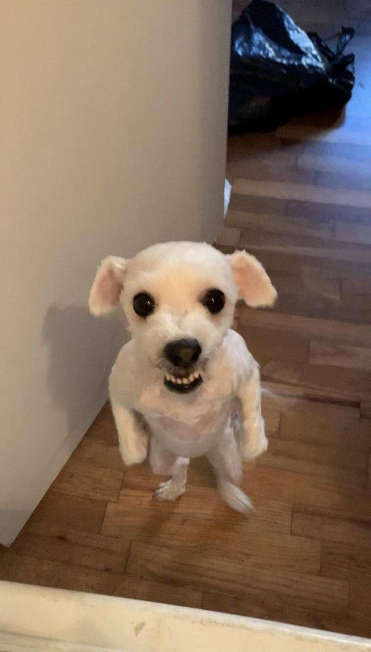 daily picdump 96 pics 8.html - 96 HD Photos | Premium Gallery 2019