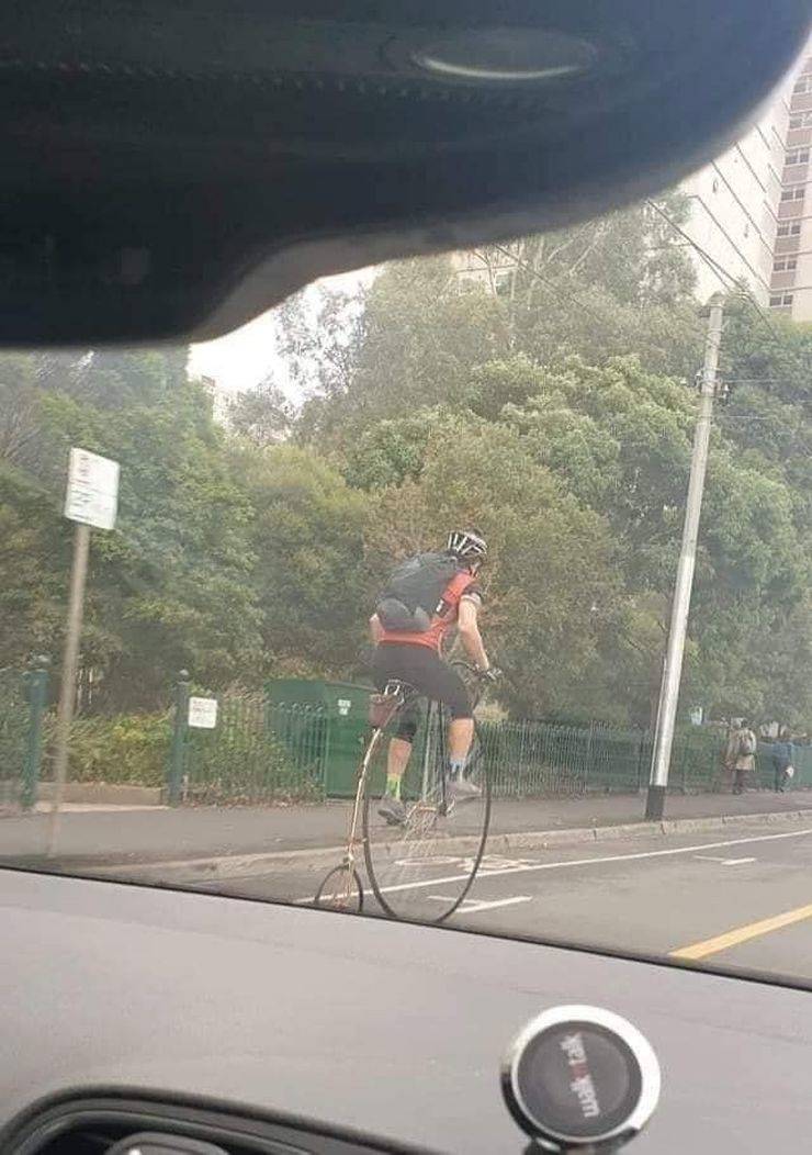 daily picdump 96 pics 8.html - 96 HD Photos | Premium Gallery 2019