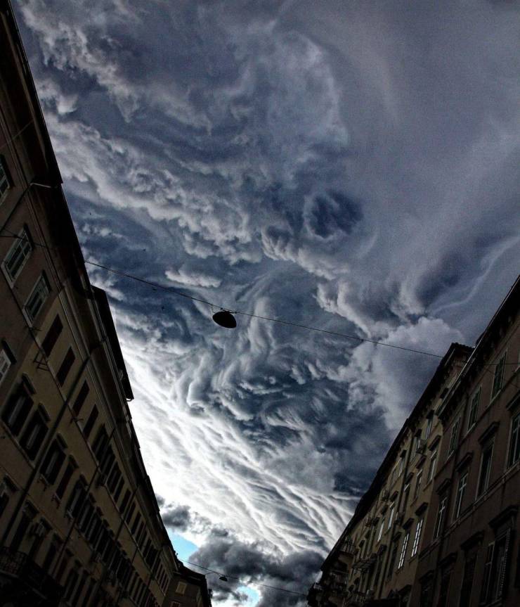daily picdump 96 pics 8.html - 96 HD Photos | Premium Gallery 2019