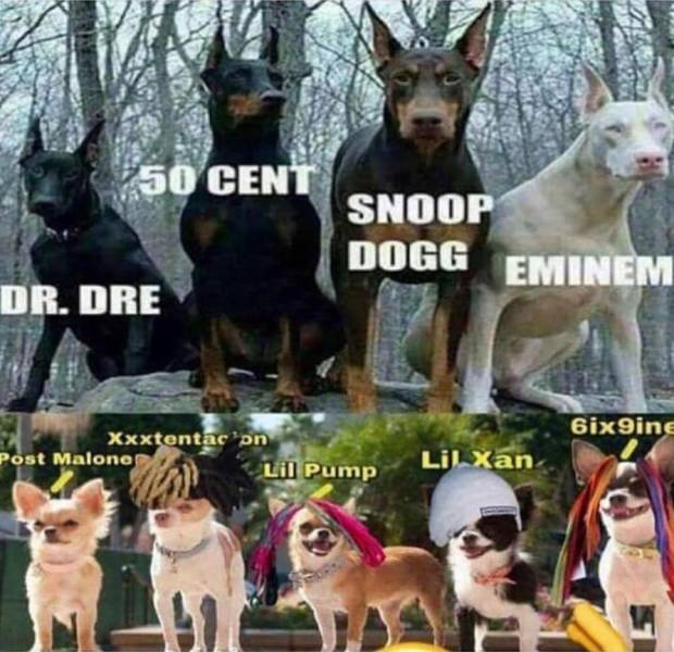 page,7,top 250 funny pics of the year 2019.html - 1 HD Photos | Premium Gallery 2019