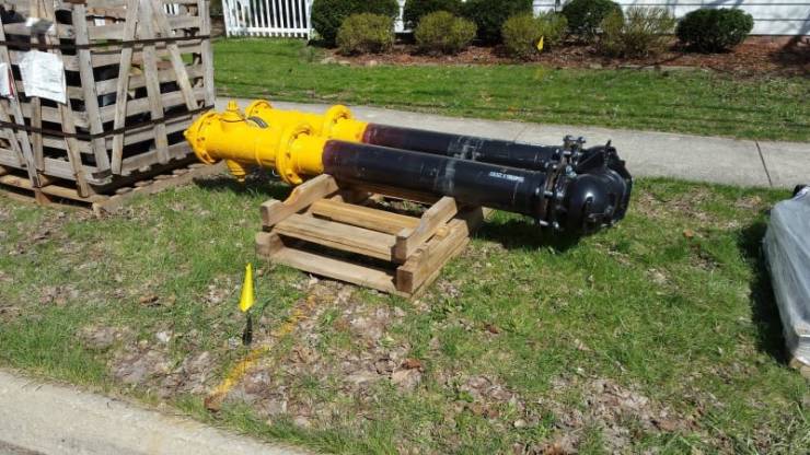 Photos That Are Full Of Excitement