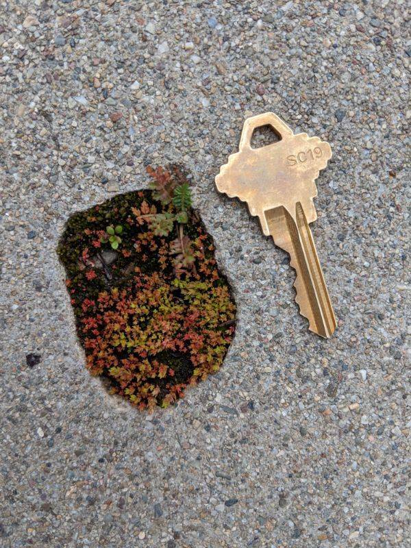 Photos That Are Full Of Excitement