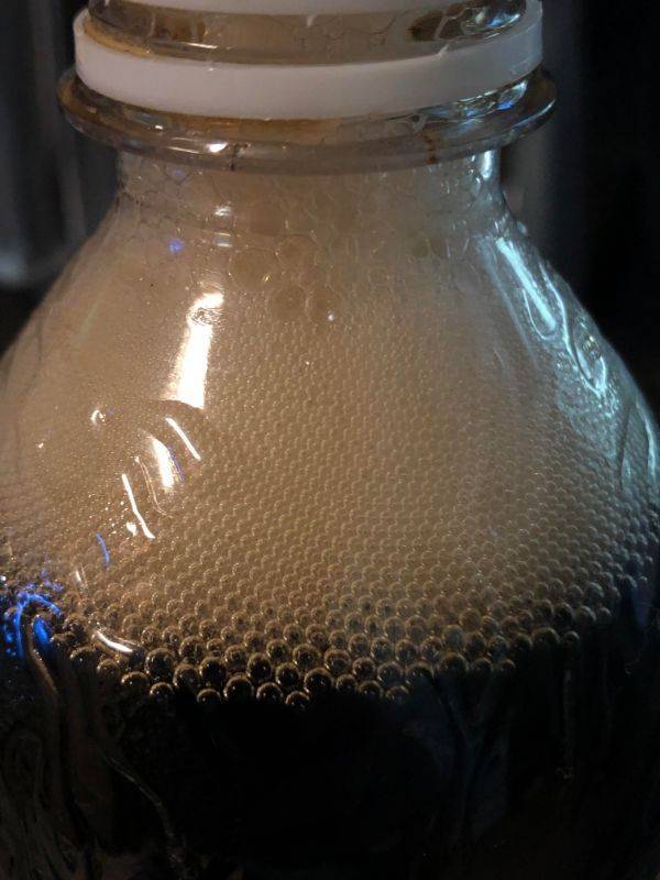 Photos That Are Full Of Excitement