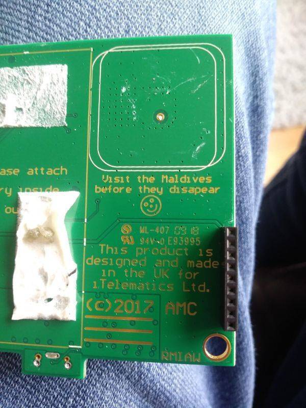 Photos That Are Full Of Excitement