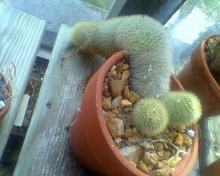 Dirty Mind, Come Here!