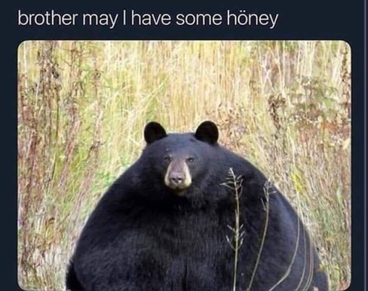 Still Think Size Doesn’t Matter?