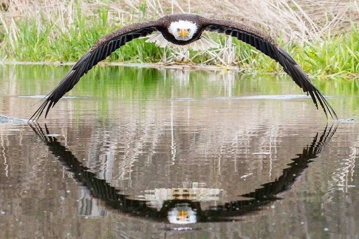 daily picdump 102 pics 33.html - 102 HD Photos | Premium Gallery 2019