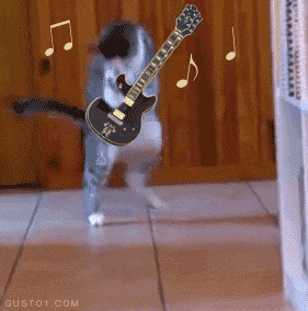 GIF Science At Its Absolute Best