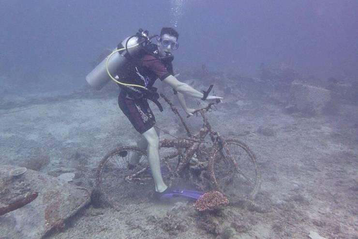 morning picdump 54 pics 4.html - 54 HD Photos | Premium Gallery 2019