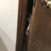 short skirts go best with beautiful legs 44 pics.html - 44 HD Photos | Premium Gallery 2018