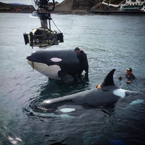 Behind-The-Scenes Shots Show The Secrets Of Hollywood Hits