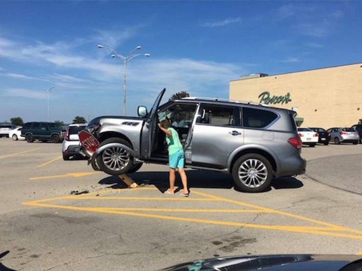 daily picdump 100 pics 35.html - 100 HD Photos | Premium Gallery 2019