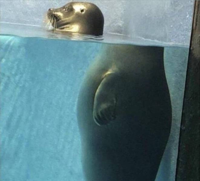 daily picdump 100 pics 35.html - 100 HD Photos | Premium Gallery 2019