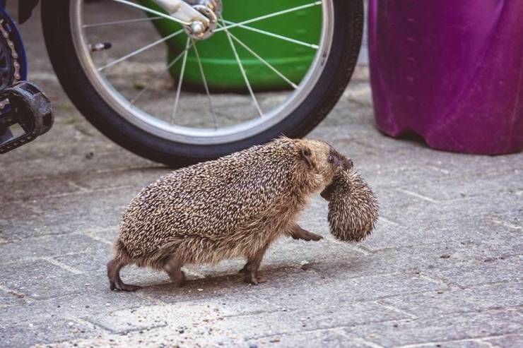 daily picdump 100 pics 35.html - 100 HD Photos | Premium Gallery 2019
