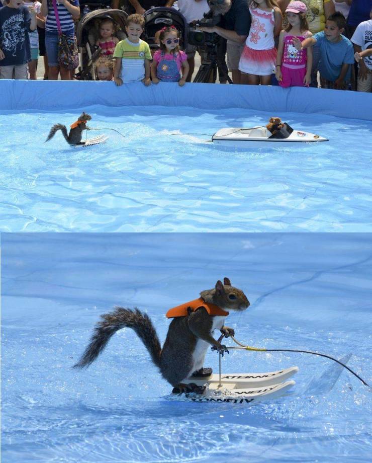 daily picdump 100 pics 35.html - 100 HD Photos | Premium Gallery 2019
