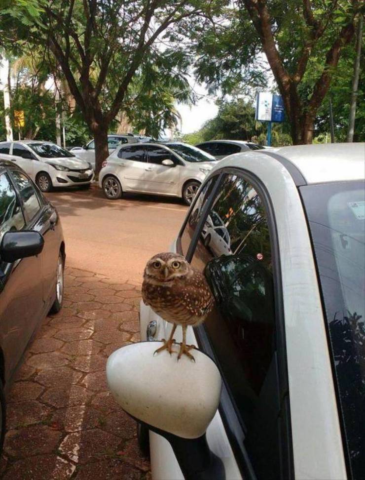 daily picdump 100 pics 35.html - 100 HD Photos | Premium Gallery 2019