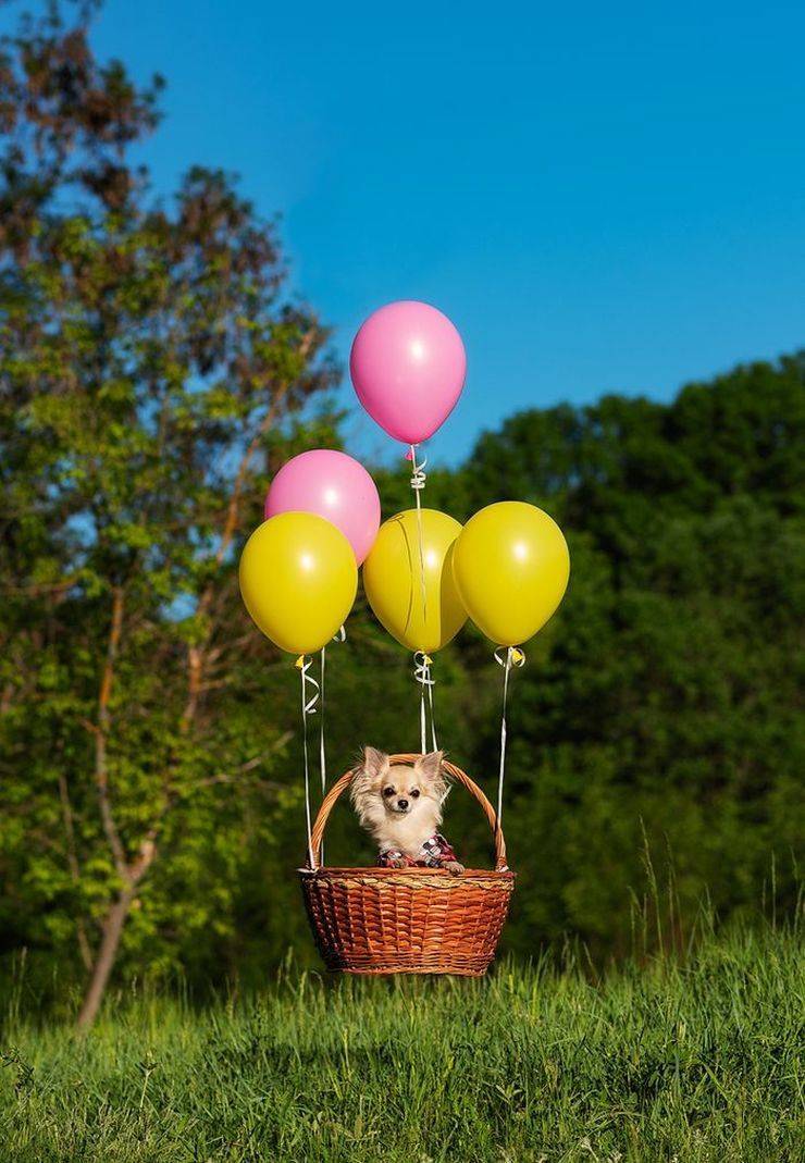 daily picdump 100 pics 35.html - 100 HD Photos | Premium Gallery 2019