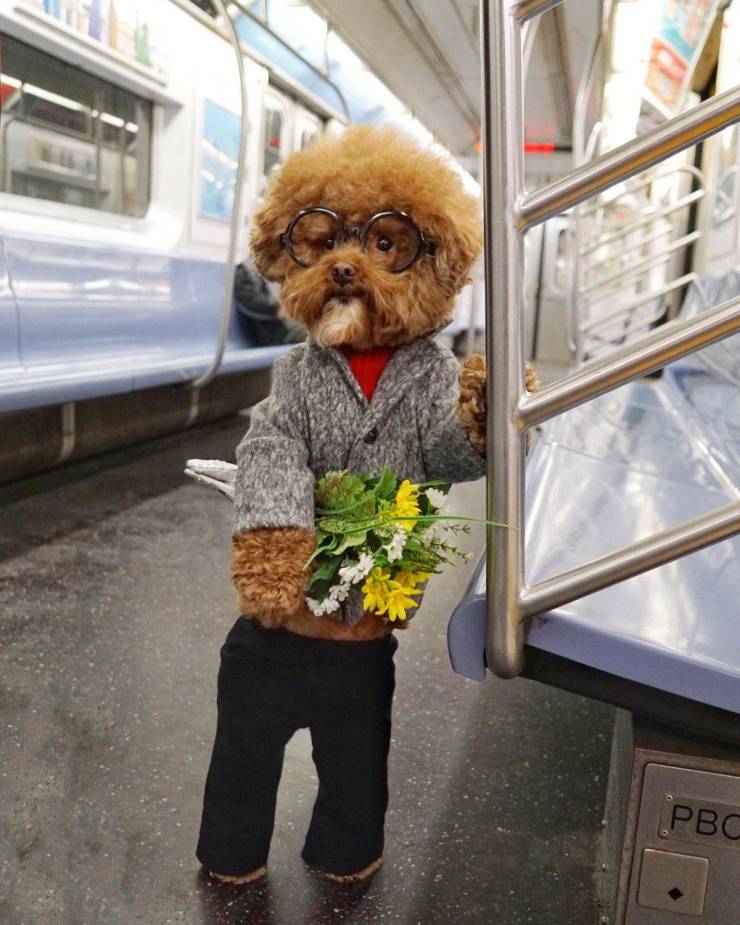 daily picdump 100 pics 35.html - 100 HD Photos | Premium Gallery 2019
