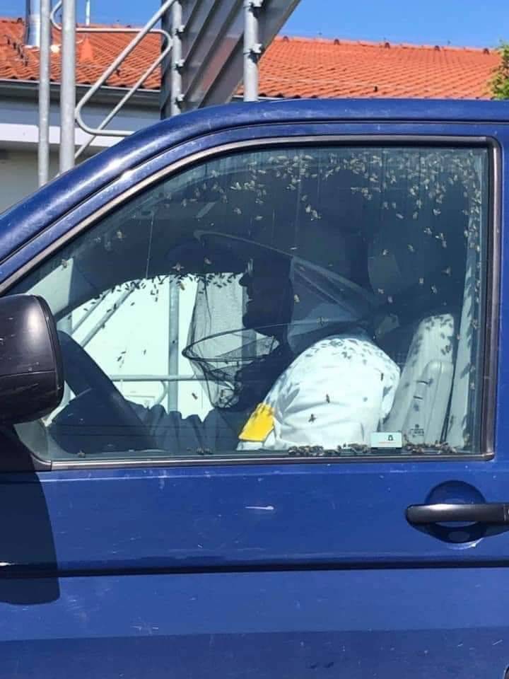 daily picdump 100 pics 35.html - 100 HD Photos | Premium Gallery 2019