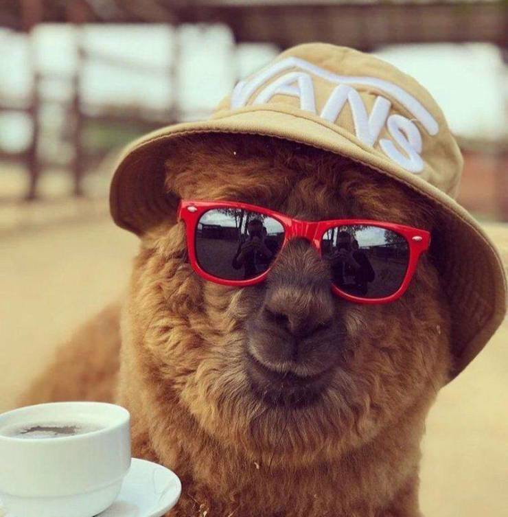 daily picdump 100 pics 35.html - 100 HD Photos | Premium Gallery 2019