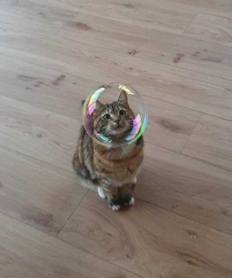 daily picdump 100 pics 35.html - 100 HD Photos | Premium Gallery 2019