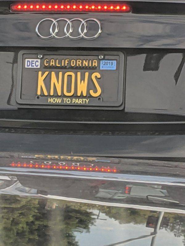 daily picdump 100 pics 35.html - 100 HD Photos | Premium Gallery 2019