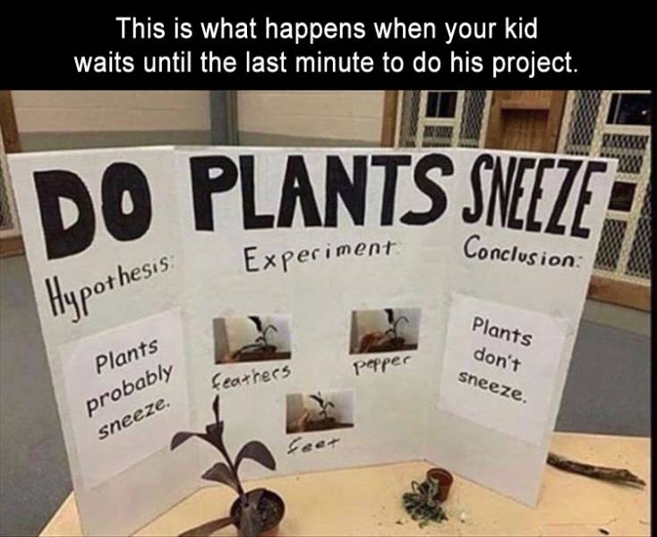 Funny Picdump