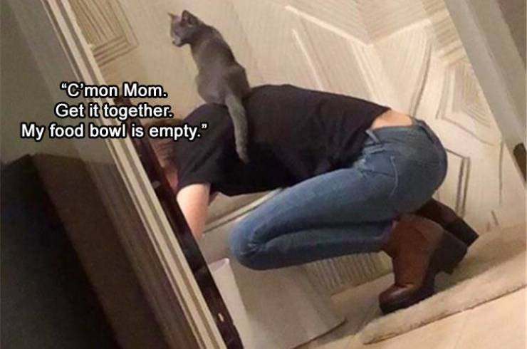 Funny Picdump