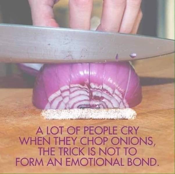funny picdump 50 pics 10.html - 50 HD Photos | Premium Gallery 2019