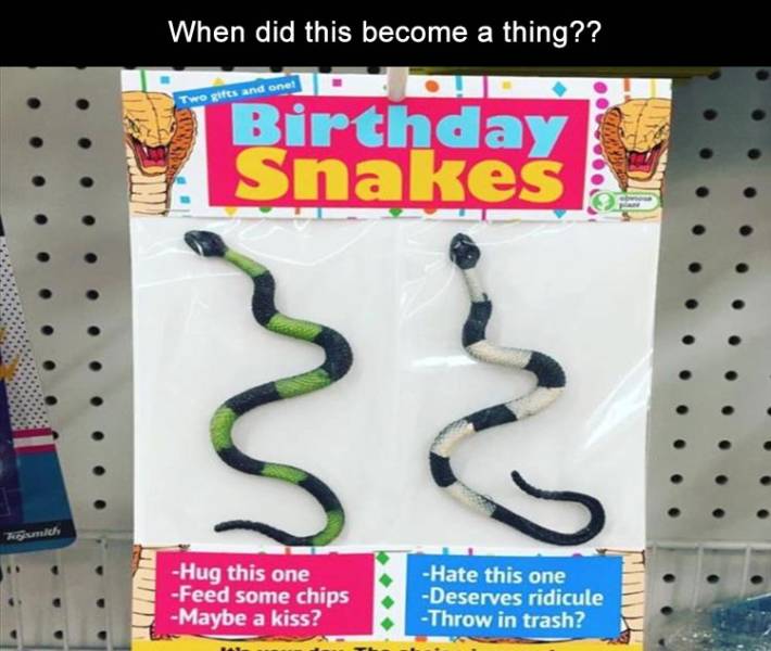 funny picdump 50 pics 10.html - 50 HD Photos | Premium Gallery 2019