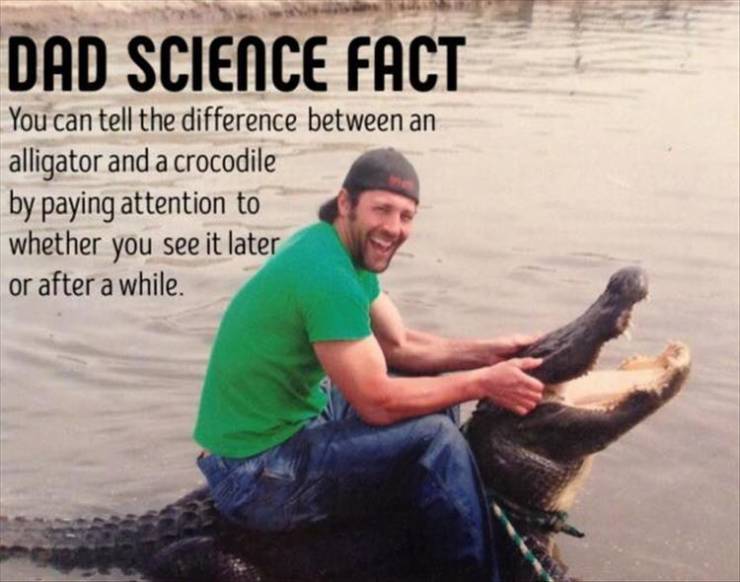 funny picdump 50 pics 10.html - 50 HD Photos | Premium Gallery 2019
