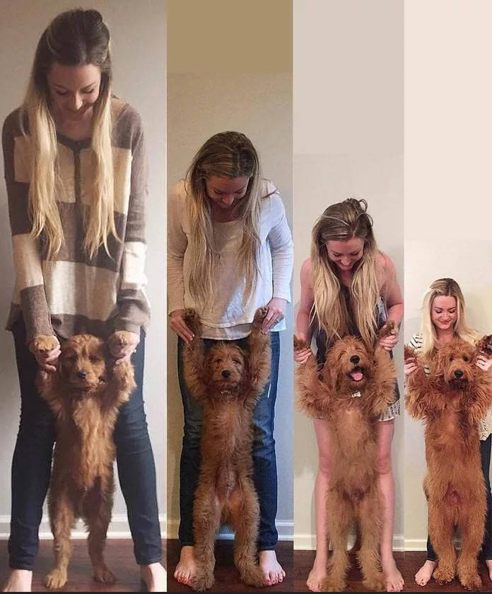 funny picdump 50 pics 10.html - 50 HD Photos | Premium Gallery 2019