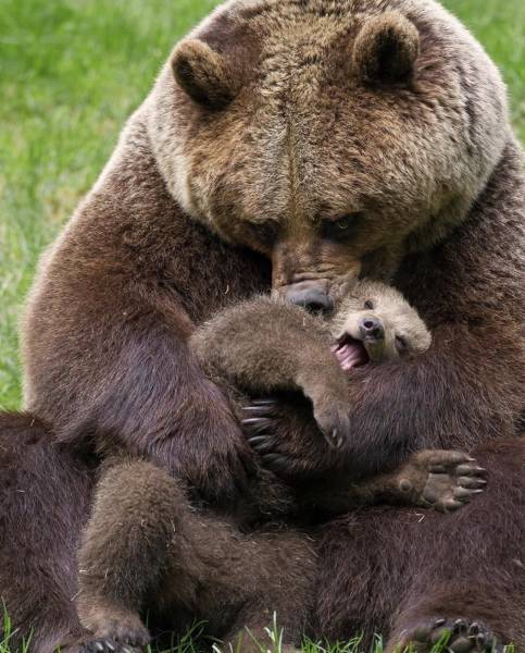 page,3,top 750 daily pics of the year 2019.html - 1 HD Photos | Premium Gallery 2019