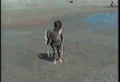 Sea Has Absolutely No Mercy
