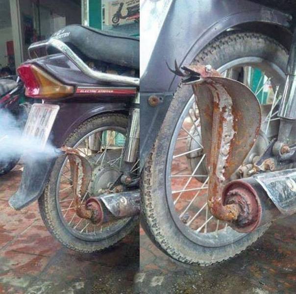 Daily Picdump