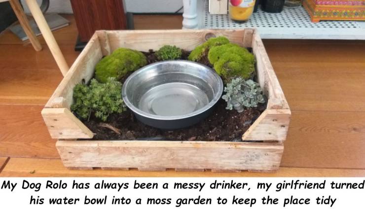 Daily Picdump