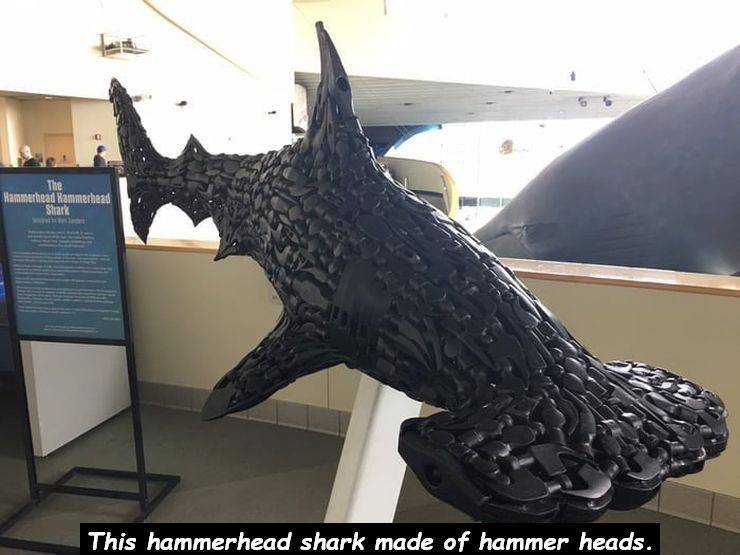 daily picdump 97 pics 11.html - 97 HD Photos | Premium Gallery 2019