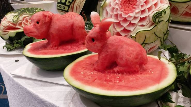 daily picdump 97 pics 11.html - 97 HD Photos | Premium Gallery 2019