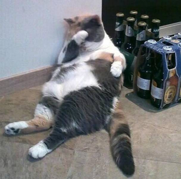 daily picdump 97 pics 11.html - 97 HD Photos | Premium Gallery 2019