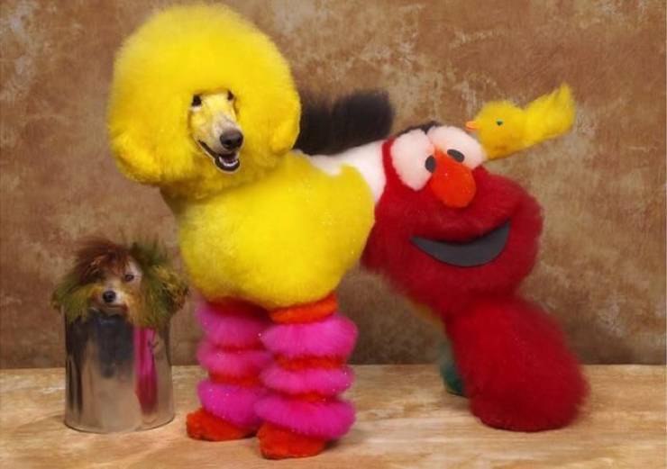 daily picdump 97 pics 11.html - 97 HD Photos | Premium Gallery 2019